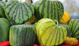 吃瓜大瓜事件,揭秘网络舆论狂欢背后的真相